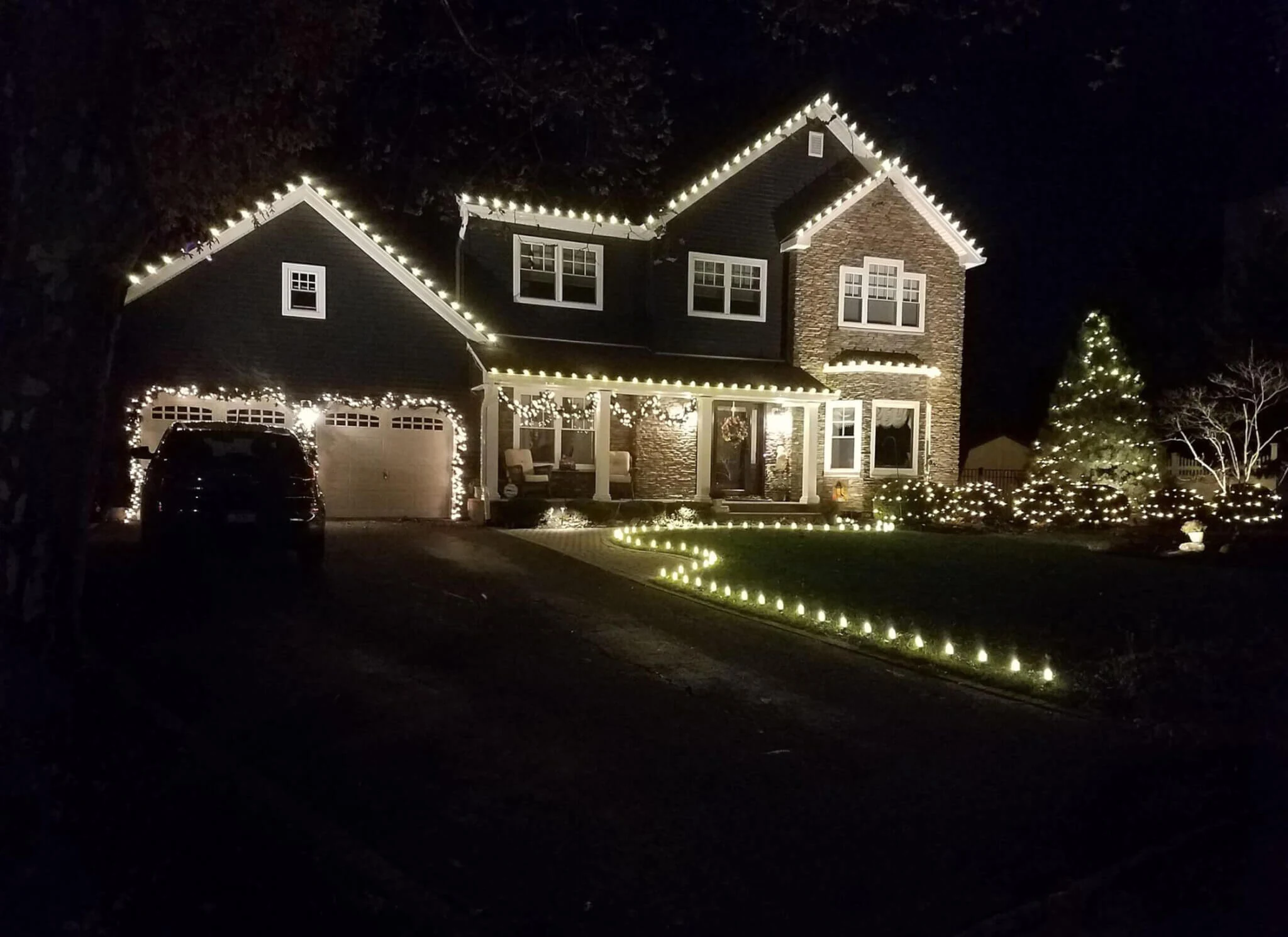 Professional Holiday Lighting